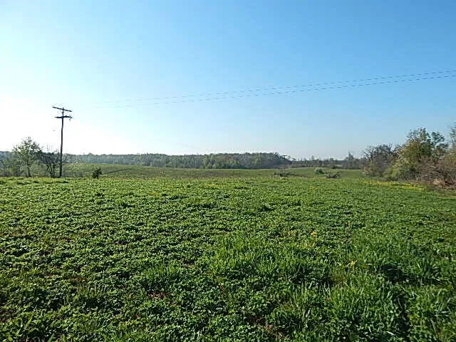 8833 W Territorial Road Camden, MI 49232