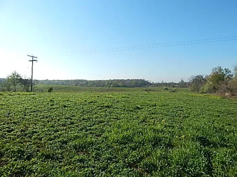 8833 W Territorial Road