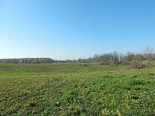 8833 W Territorial Road Camden, MI 49232