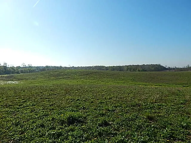 8833 W Territorial Road Camden, MI 49232