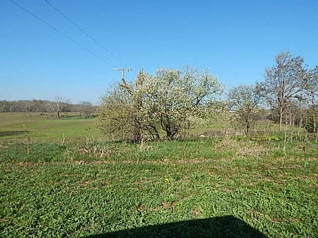8833 W Territorial Road Camden, MI 49232