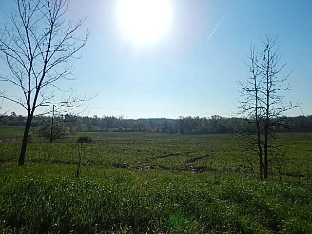 8833 W Territorial Road Camden, MI 49232