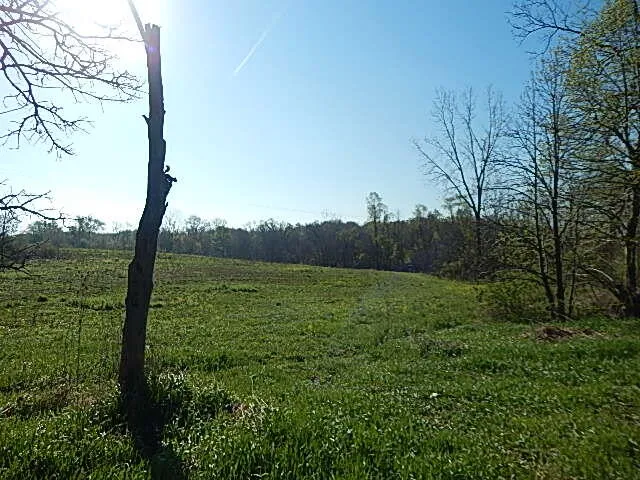 8833 W Territorial Road Camden, MI 49232