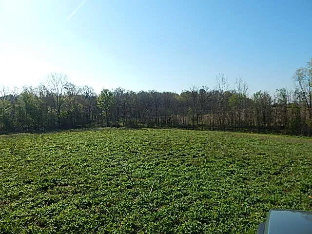 8833 W Territorial Road Camden, MI 49232