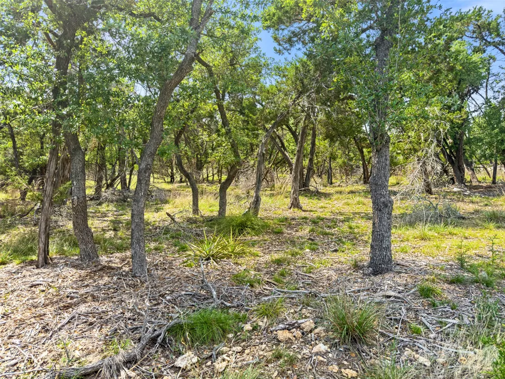 369 Onion Creek Lane Blanco, TX 78606