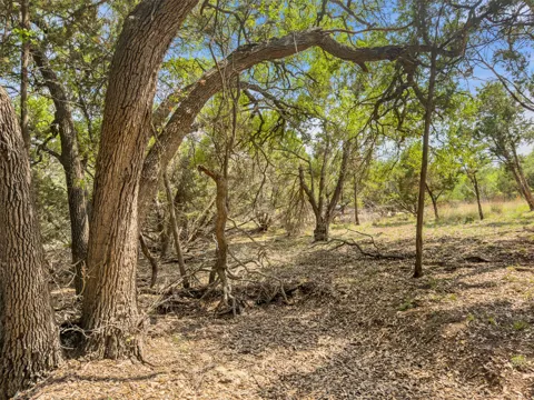 369 Onion Creek Lane