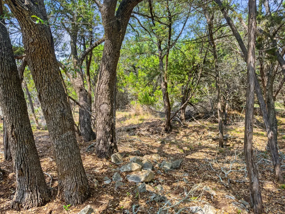 369 Onion Creek Lane Blanco, TX 78606