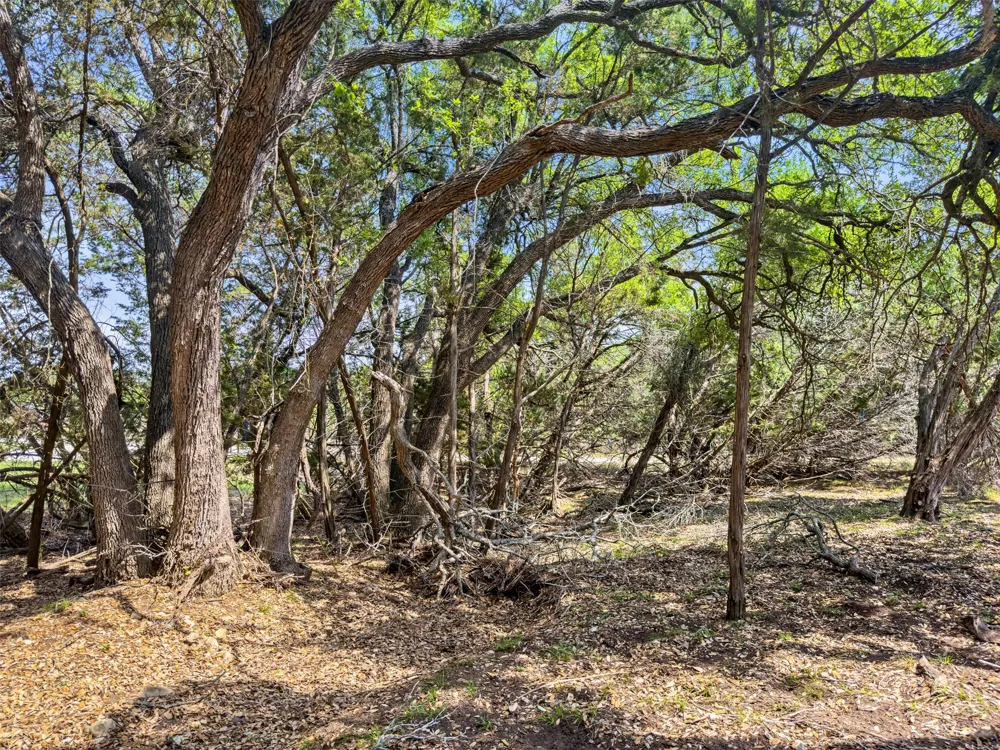 369 Onion Creek Lane Blanco, TX 78606