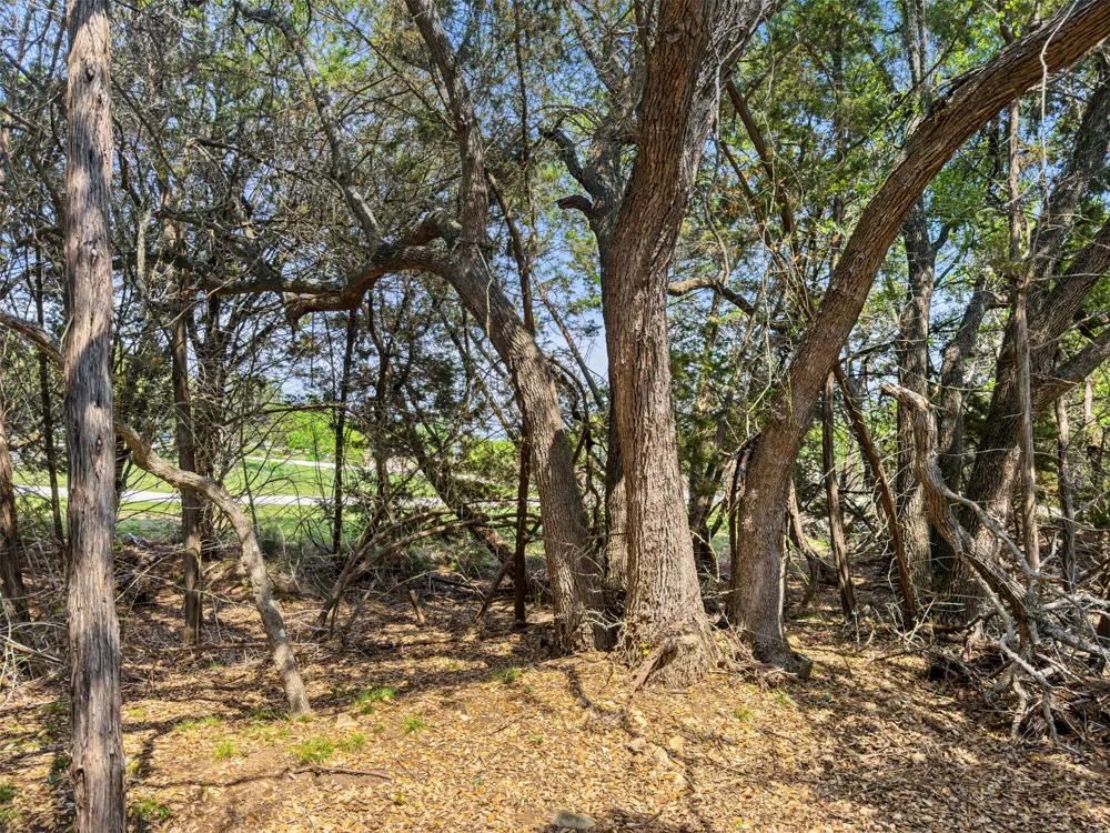 369 Onion Creek Lane Blanco, TX 78606