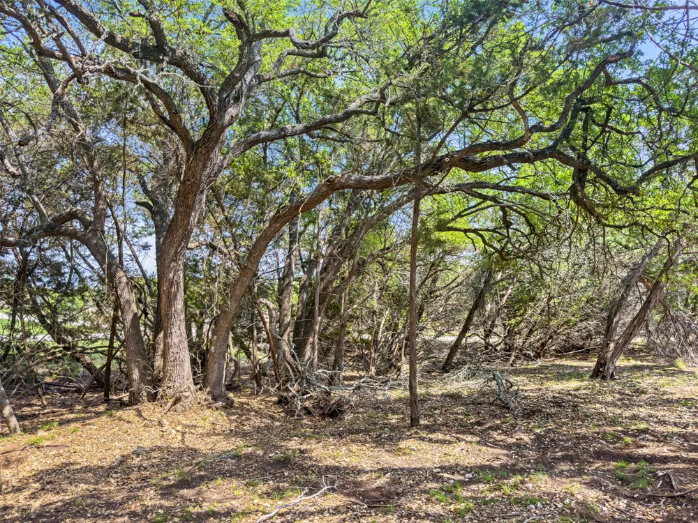 369 Onion Creek Lane Blanco, TX 78606