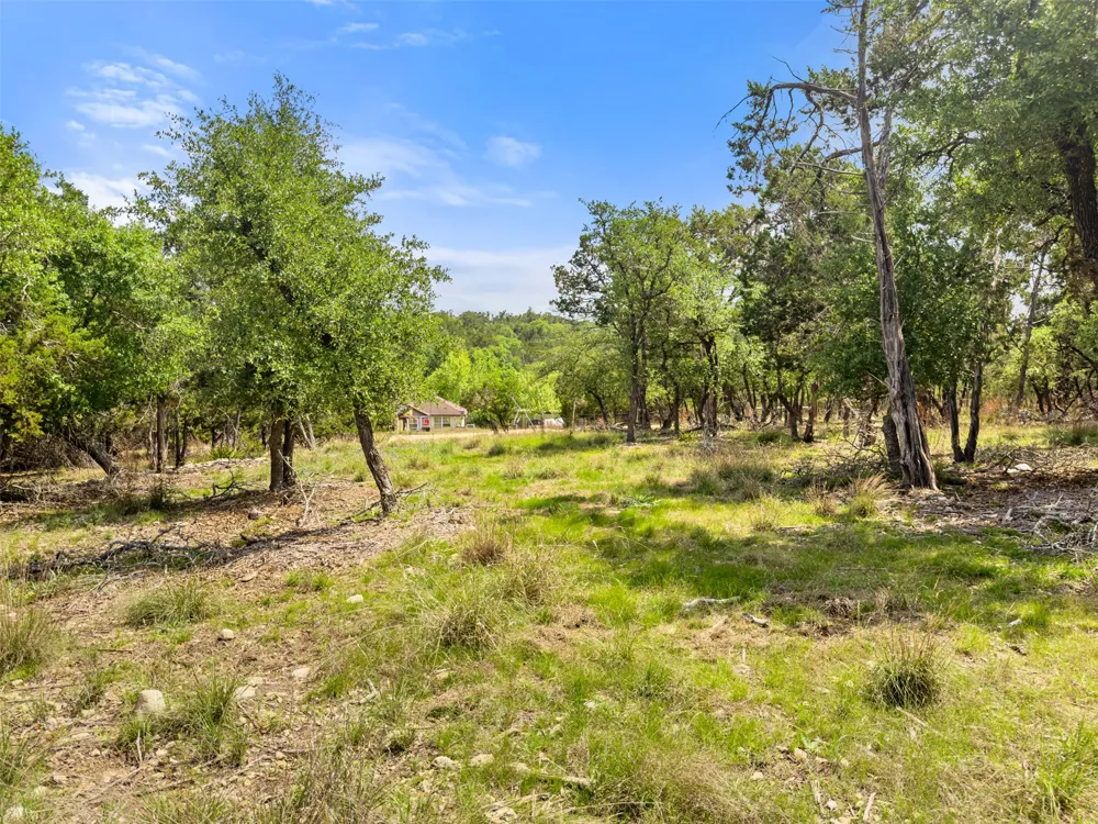 369 Onion Creek Lane Blanco, TX 78606