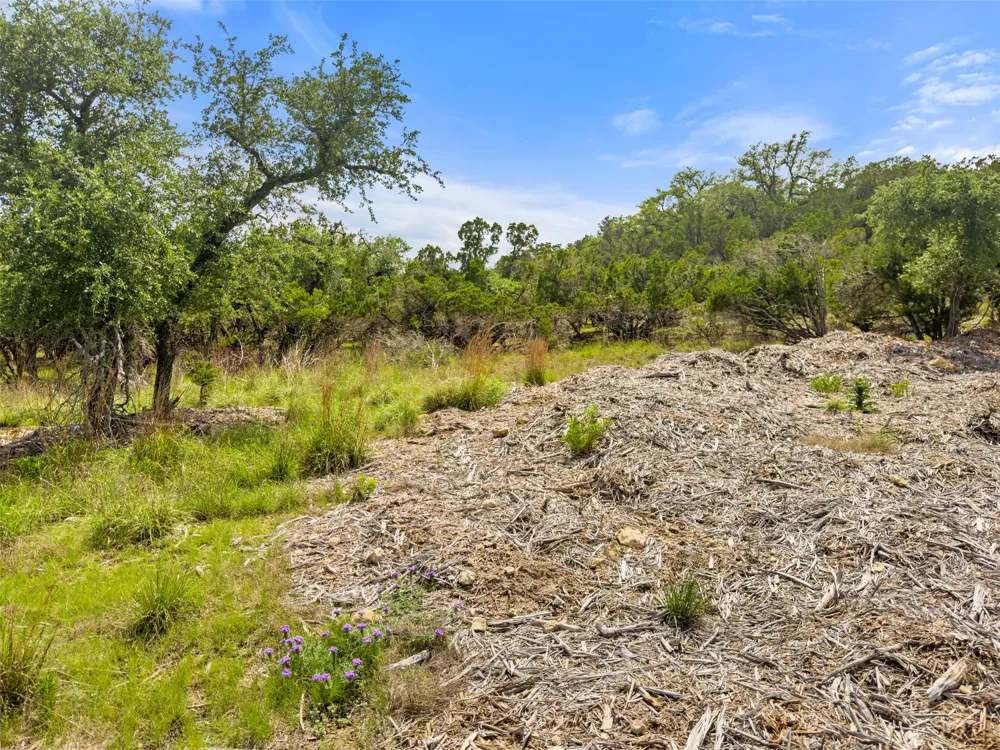 369 Onion Creek Lane Blanco, TX 78606