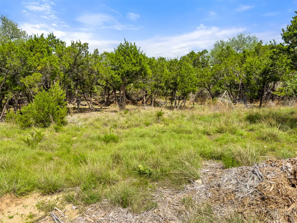 369 Onion Creek Lane Blanco, TX 78606