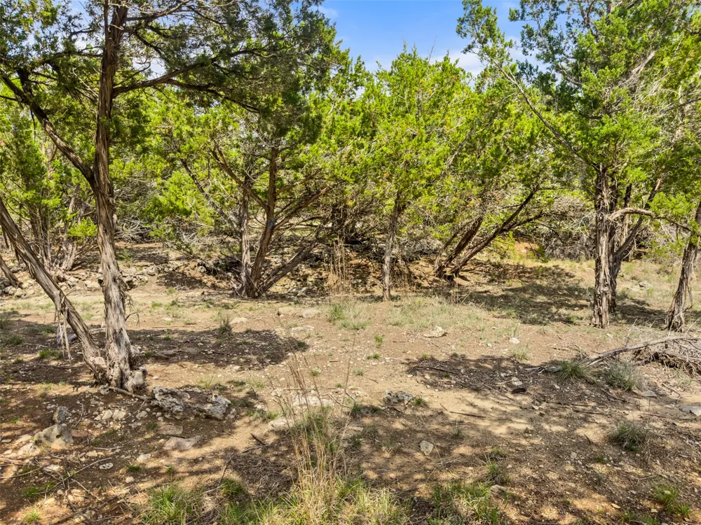 369 Onion Creek Lane Blanco, TX 78606