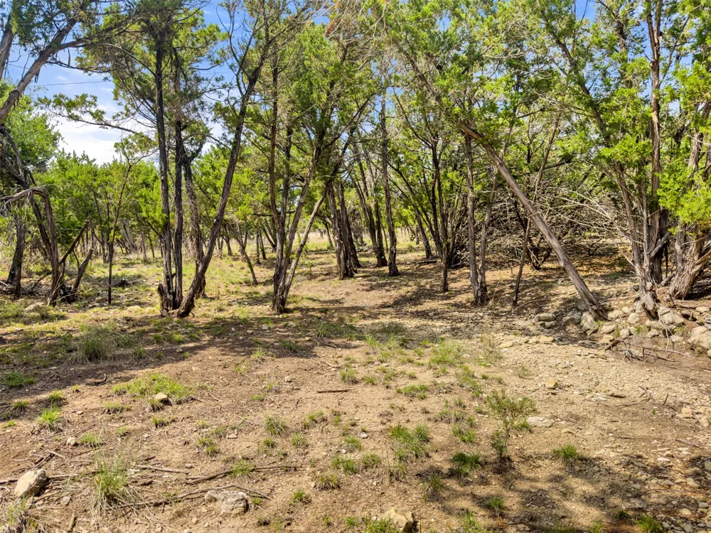 369 Onion Creek Lane Blanco, TX 78606
