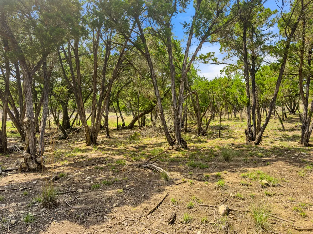 369 Onion Creek Lane Blanco, TX 78606