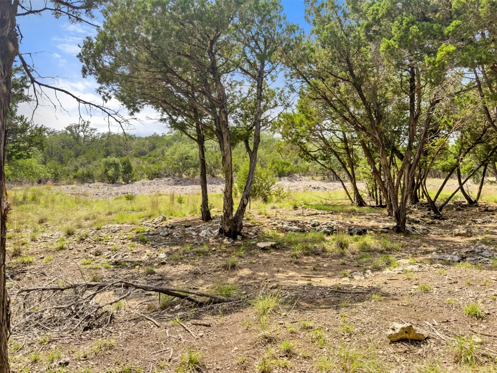 369 Onion Creek Lane Blanco, TX 78606