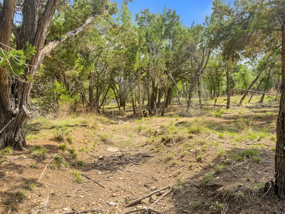 369 Onion Creek Lane Blanco, TX 78606