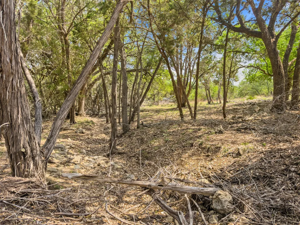 369 Onion Creek Lane Blanco, TX 78606