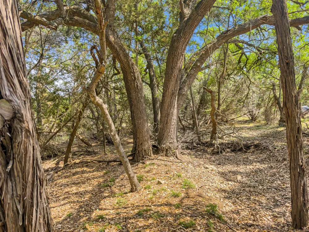 369 Onion Creek Lane Blanco, TX 78606
