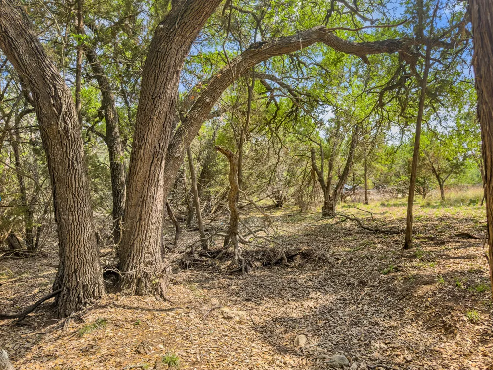 369 Onion Creek Lane Blanco, TX 78606