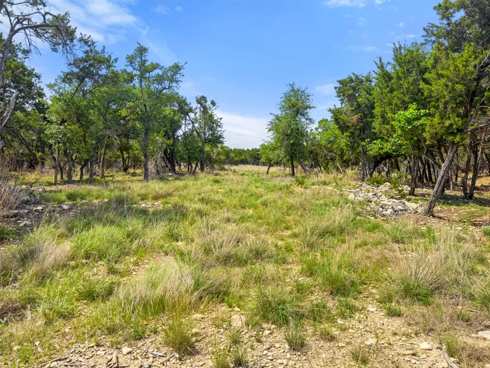 369 Onion Creek Lane Blanco, TX 78606