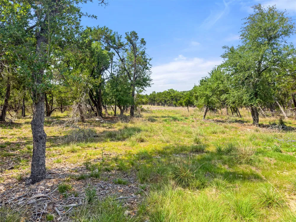 369 Onion Creek Lane Blanco, TX 78606