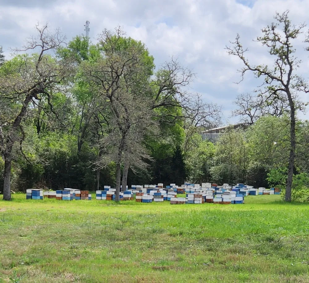 1122 County Road 344 Road Lexington, TX 78947