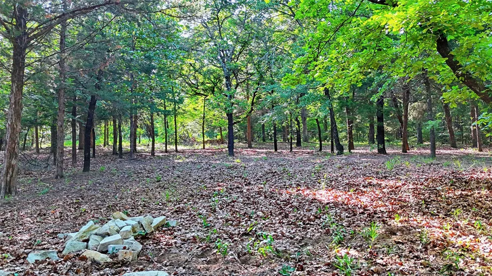 735 Sleepy Hollow Lane Valley View, TX 76272