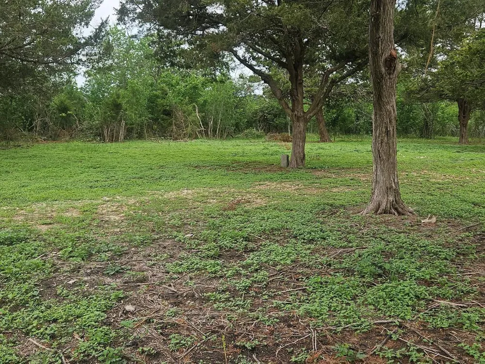 7055 Chadwick Hogan Chappell Hill, TX 77426