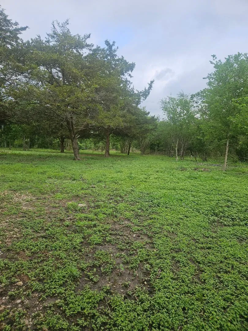 7055 Chadwick Hogan Chappell Hill, TX 77426