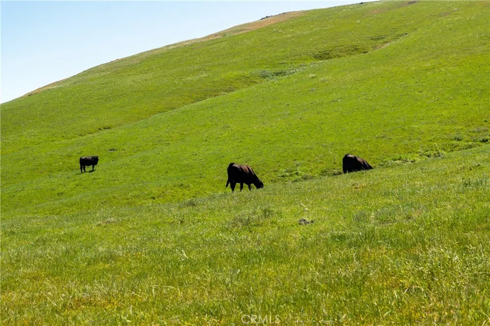 2440 Little Morro Creek Morro Bay, CA 93442