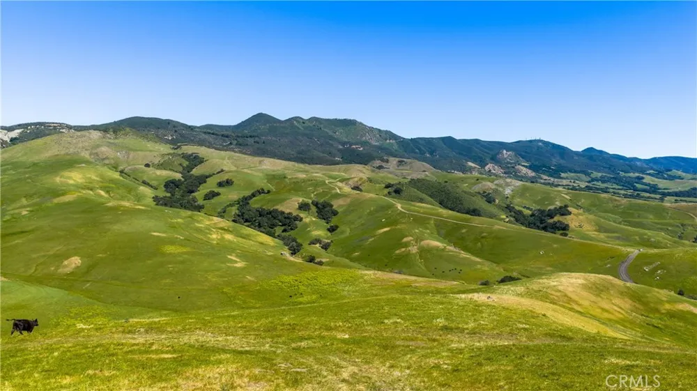 2440 Little Morro Creek Morro Bay, CA 93442
