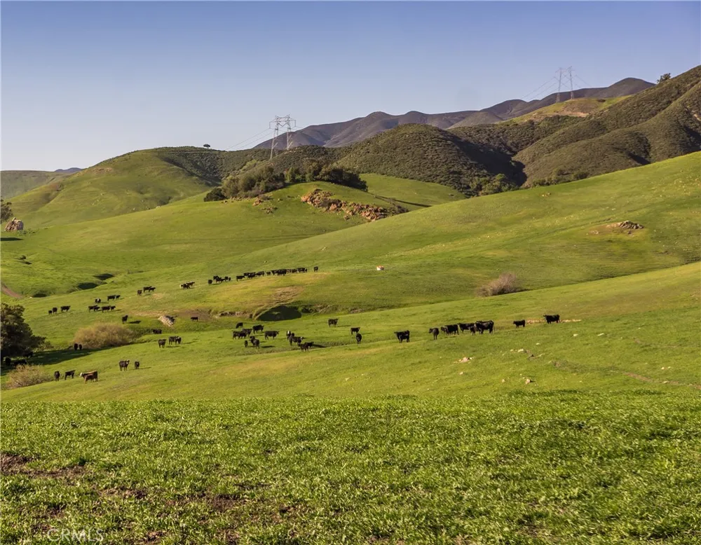 2440 Little Morro Creek Morro Bay, CA 93442