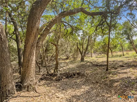 369 Onion Creek Lane