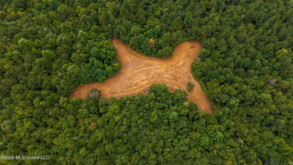 Mollett Road Benton, MS 39039