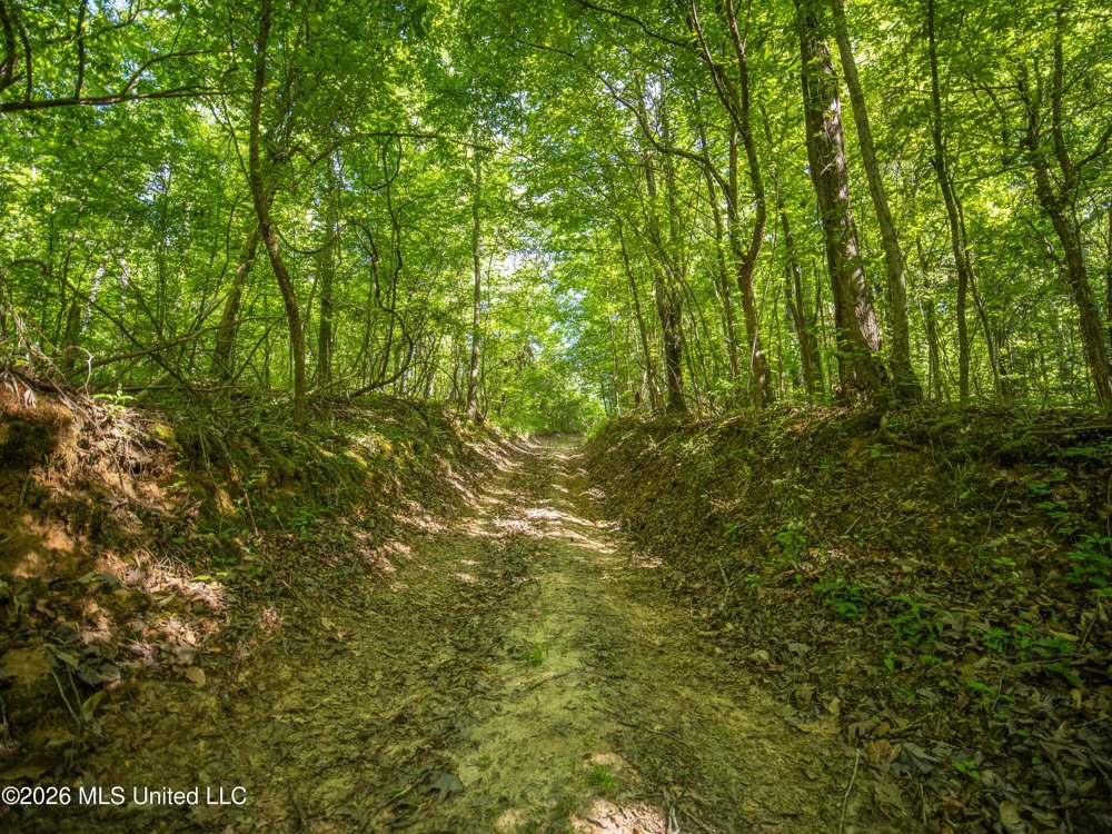 Mollett Road Benton, MS 39039