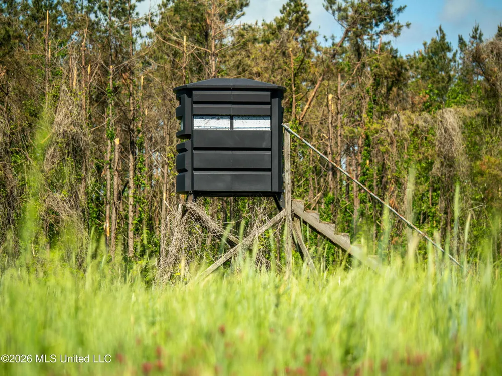 Mollett Road Benton, MS 39039