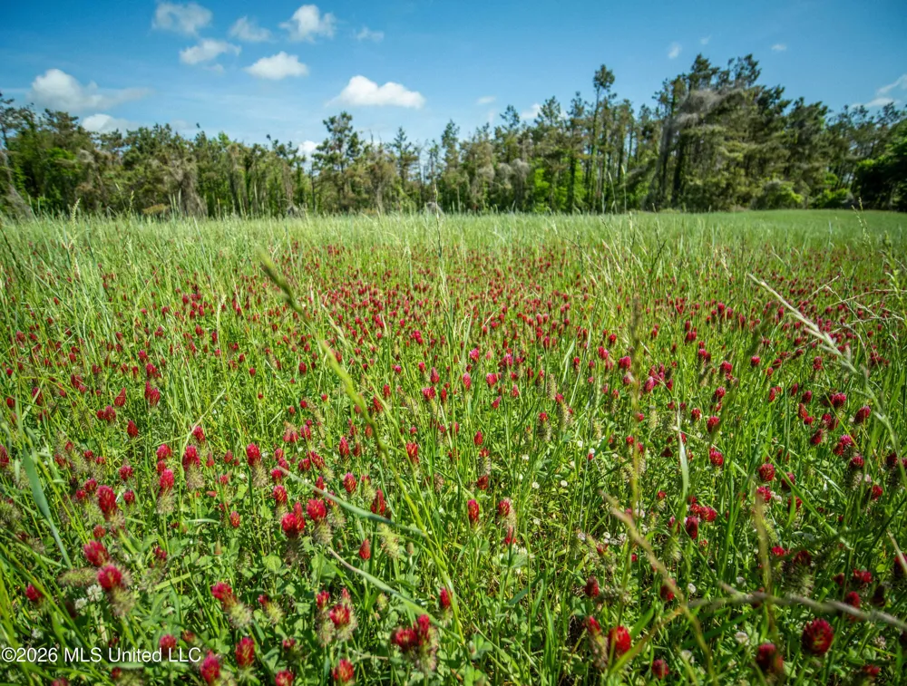 Mollett Road Benton, MS 39039