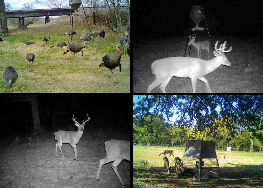3061 Turkey Creek Road Sunset, TX 76270