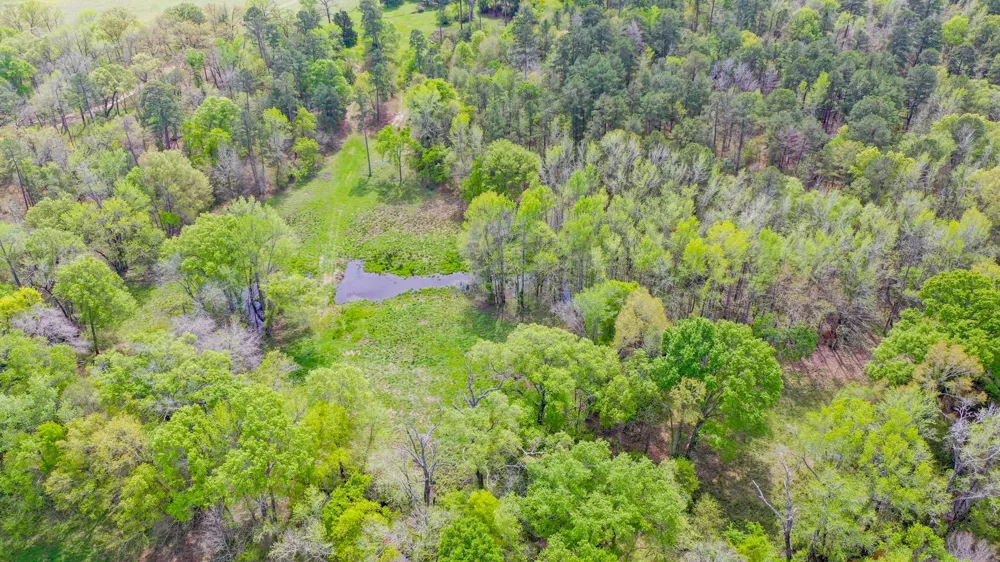 FM 315 Larue, TX 75770