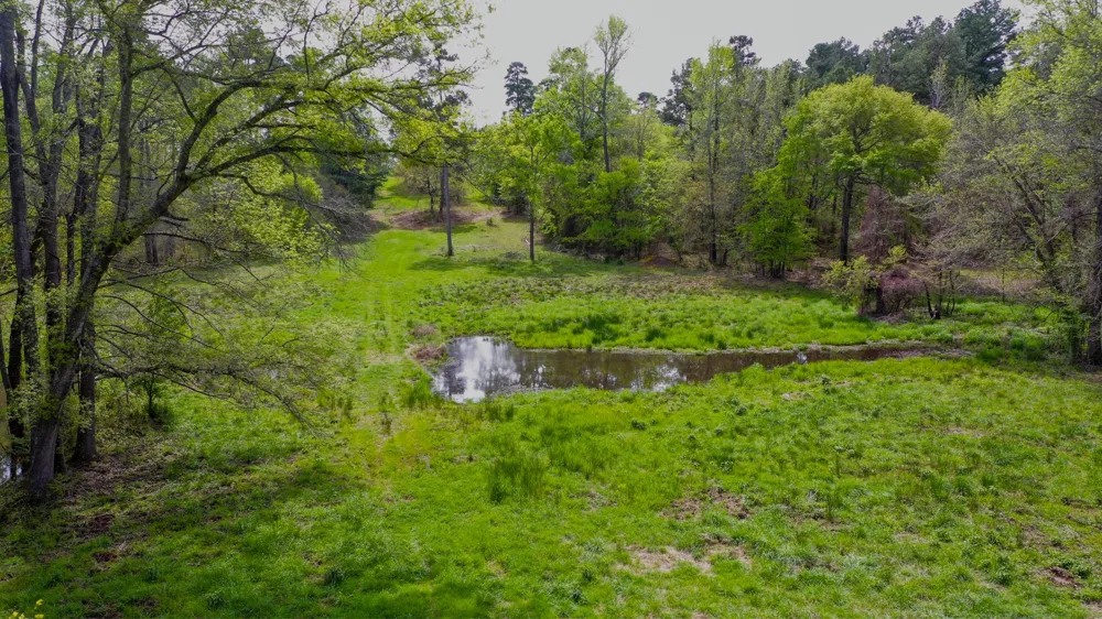 FM 315 Larue, TX 75770