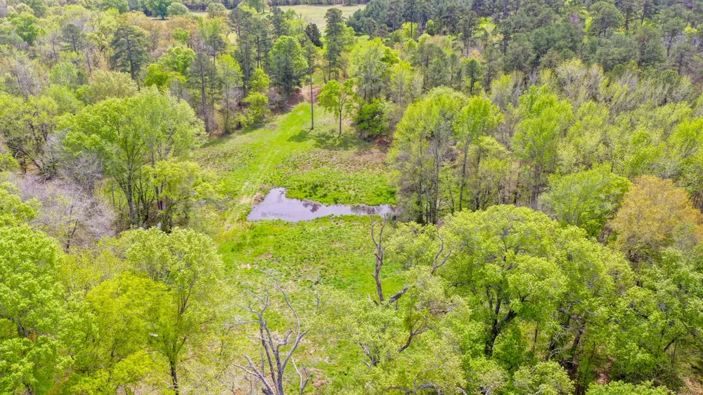 FM 315 Larue, TX 75770
