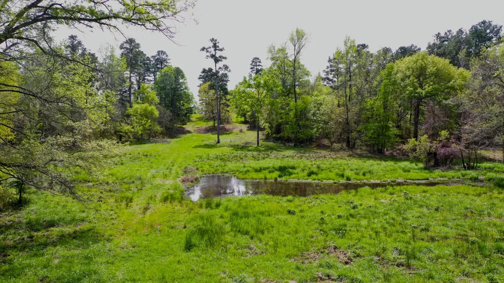 FM 315 Larue, TX 75770
