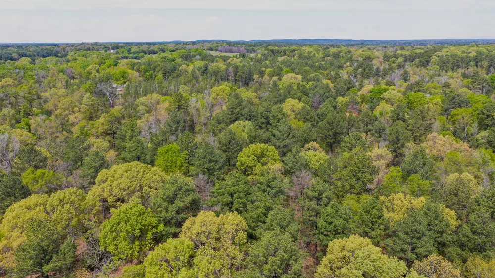 FM 315 Larue, TX 75770