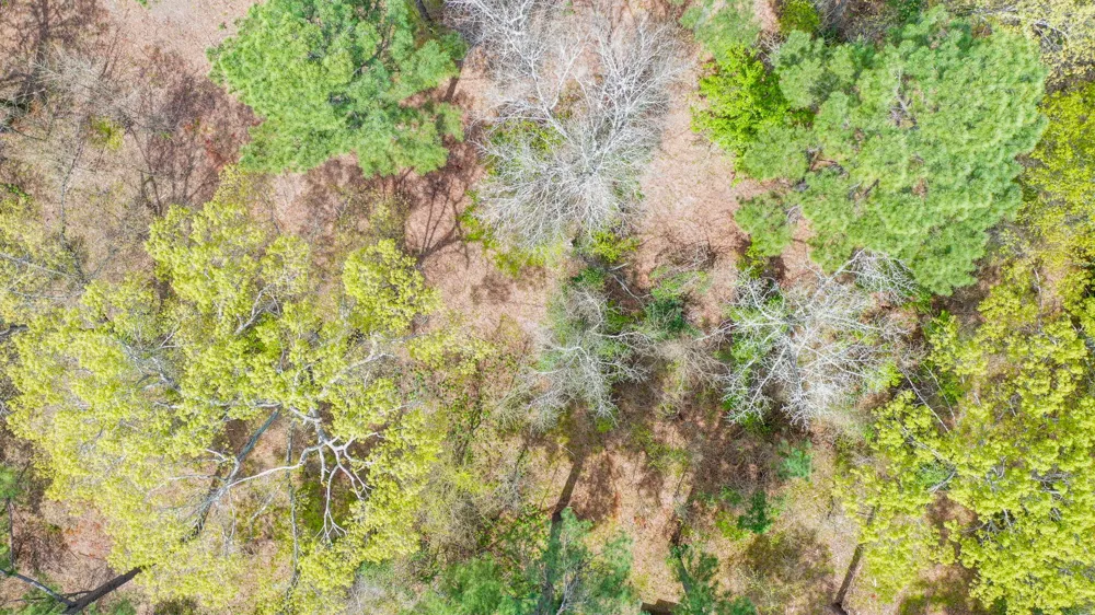 FM 315 Larue, TX 75770
