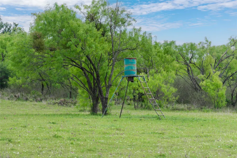 182 County Road 430 Mullin, TX 76864