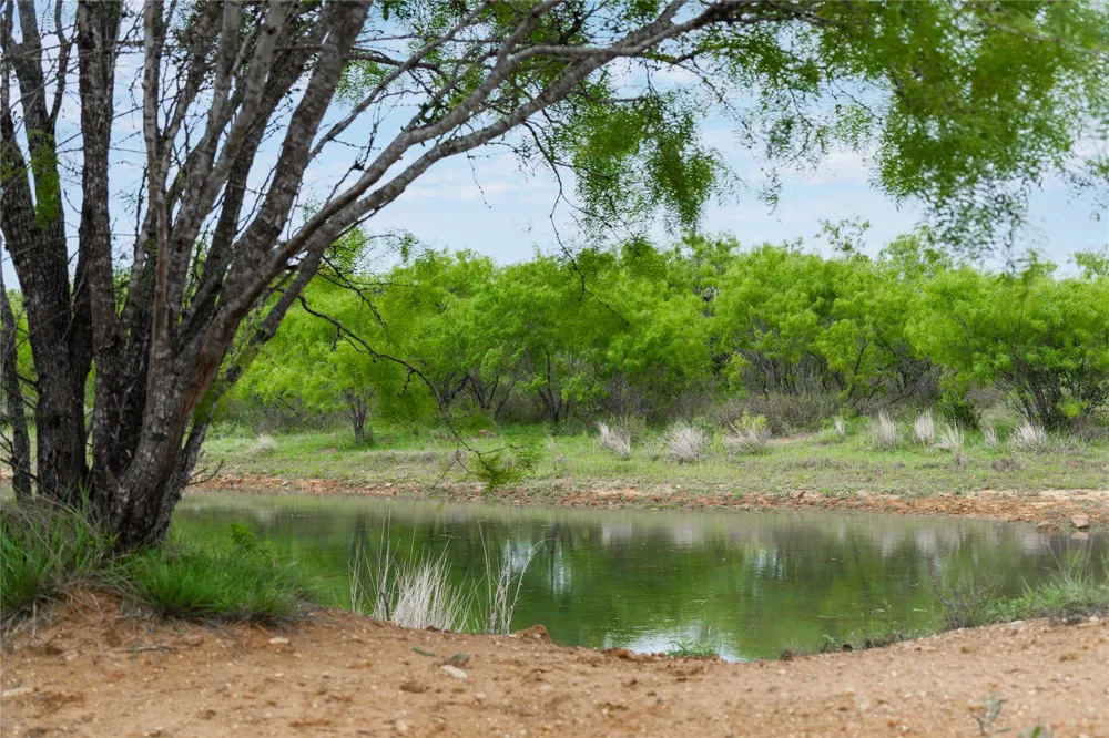 182 County Road 430 Mullin, TX 76864