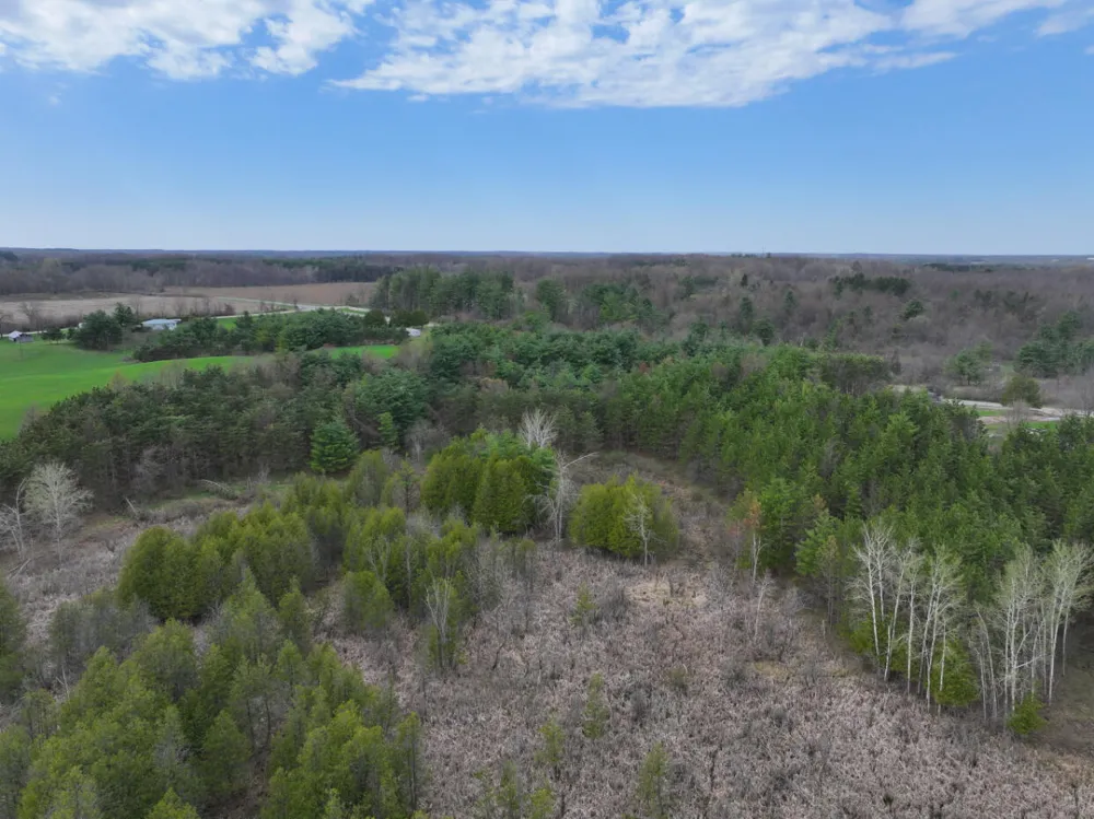 8 18 Mile Road Remus, MI 49340