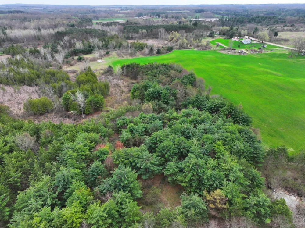 8 18 Mile Road Remus, MI 49340